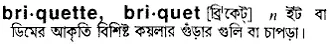 briquette Meaning in Bangla Academy Dictionary
