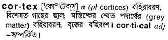cortex Meaning in Bangla Academy Dictionary
