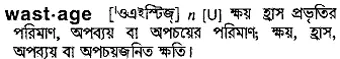 wastage Meaning in Bangla Academy Dictionary