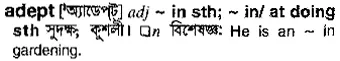 adept Meaning in Bangla Academy Dictionary
