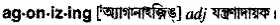 agonizing Meaning in Bangla Academy Dictionary