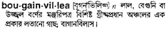 bougainvillea Meaning in Bangla Academy Dictionary
