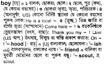 boy Meaning in Bangla Academy Dictionary