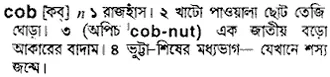 cob Meaning in Bangla Academy Dictionary