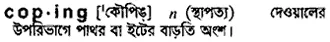 coping Meaning in Bangla Academy Dictionary