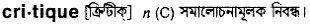 critique Meaning in Bangla Academy Dictionary