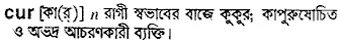 cur Meaning in Bangla Academy Dictionary