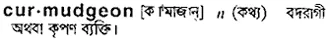 curmudgeon Meaning in Bangla Academy Dictionary