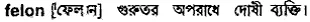 felon Meaning in Bangla Academy Dictionary