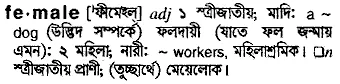 female Meaning in Bangla Academy Dictionary
