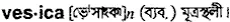 vesica Meaning in Bangla Academy Dictionary