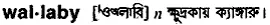 wallaby Meaning in Bangla Academy Dictionary